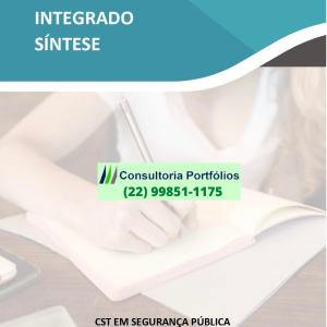 Projeto Integrado Síntese – Segurança Pública